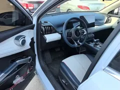 2022 BYD Yuan PLUS EV 430km Luxury, белый — фото 16