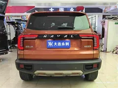 2021 Haval Dargo 1.5T DCT 2WD Border Collie — фото 15