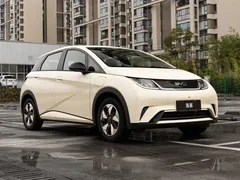 2025 BYD Dolphin 420km Freedom, белый — фото 3