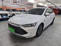 2023 BYD Qin PLUS Champion DM-i PHEV 55KM Leading, белый — фото 2