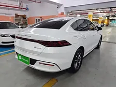 2023 BYD Qin PLUS Champion DM-i PHEV 55KM Leading, белый — фото 7