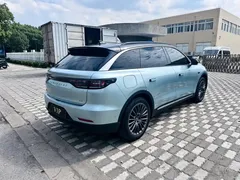 2023 Leapmotor C11 EV Executive — фото 4