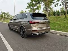 2020 Volkswagen Viloran 380TSI Premium — фото 6
