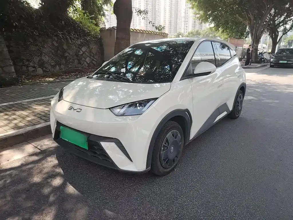 2024 BYD Seagull Honor 305km Vitality
