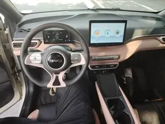 2024 BYD Seagull Honor 305km Vitality, белый — фото 9