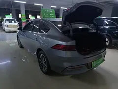 2024 BYD Qin PLUS Honor DM-i PHEV 55km Leading — фото 5