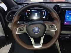2024 BYD Qin PLUS Honor DM-i PHEV 55km Leading — фото 11
