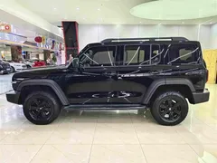 2021 Tank 300 Off-road 2.0T Conqueror, чёрный — фото 13