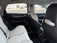 2024 BYD Destroyer 05 DM-i PHEV 55km Luxury — фото 16