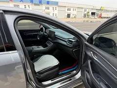 2024 BYD Destroyer 05 DM-i PHEV 55km Luxury — фото 17