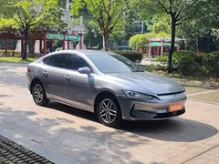 2024 BYD Qin PLUS EV 420km Leading — фото 2