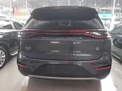 2021 BYD Tang DM-i PHEV 112km Premium — фото 6