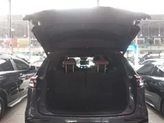 2021 BYD Tang DM-i PHEV 112km Premium — фото 19