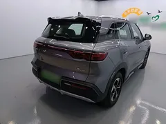 2024 BYD Yuan UP EV 401km Exceed — фото 7