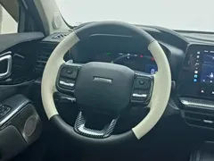2022 Haval Cool Dog 1.5T DCT 2WD, белый — фото 8