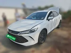 2025 BYD Qin PLUS DM-i PHEV Smart Driving 128km Advance, белый — фото 1