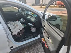 2025 BYD Qin PLUS DM-i PHEV Smart Driving 128km Advance, белый — фото 19