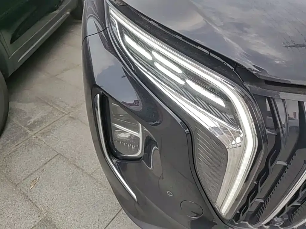 2024 Hongqi HS7 2.0T PHEV 4WD 6