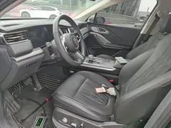 2024 Hongqi HS7 2.0T PHEV 4WD 6, чёрный — фото 19