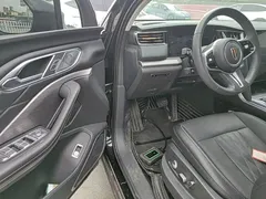 2024 Hongqi HS7 2.0T PHEV 4WD 6, чёрный — фото 20