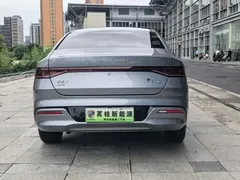 2023 BYD Qin PLUS Champion DM-i PHEV 55KM Leading — фото 6