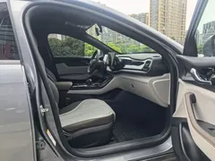 2023 BYD Qin PLUS Champion DM-i PHEV 55KM Leading — фото 9