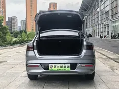 2023 BYD Qin PLUS Champion DM-i PHEV 55KM Leading — фото 10