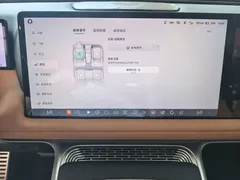 2022 Xpeng G9 650 Performance Max — фото 9