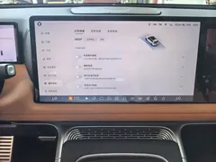 2022 Xpeng G9 650 Performance Max — фото 12