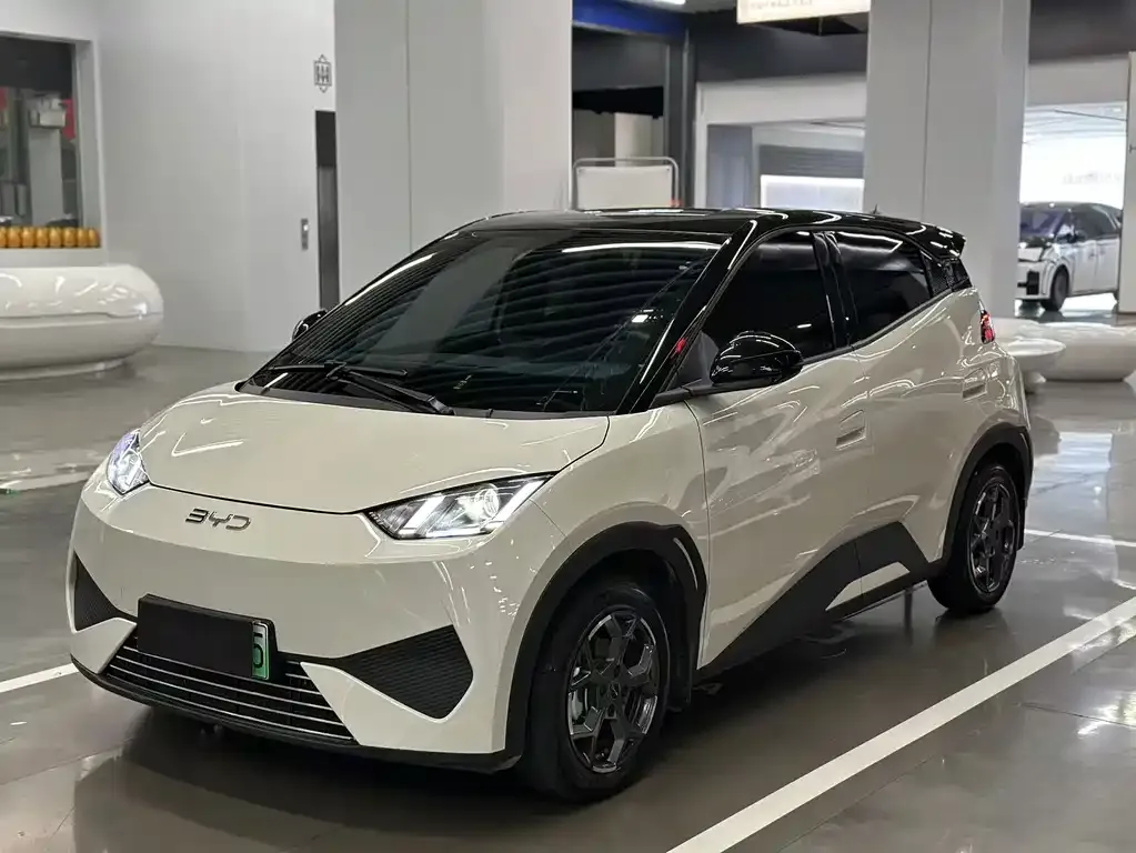 2025 BYD Seagull EV 305km