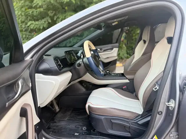 2023 BYD Qin PLUS Champion EV 510km Leading