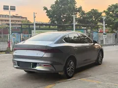2023 BYD Qin PLUS Champion EV 510km Leading — фото 19
