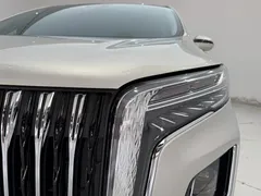 2023 Hongqi HQ9 2.0T — фото 9
