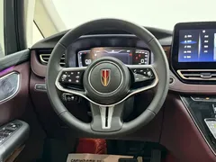 2023 Hongqi HQ9 2.0T — фото 14