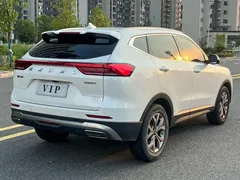 2021 Haval H6 1.5T AT Champion, белый — фото 6
