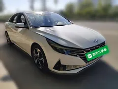 2022 Hyundai Elantra 1.5L CVT GLX Elite, белый — фото 24