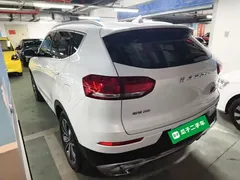 2021 Haval H6 2.0GDIT AT Champion, белый — фото 5