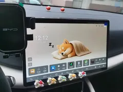 2025 BYD Yuan UP Smart Driving 401km Vitality — фото 13