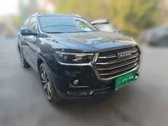 2021 Haval H6 1.5GDIT AT Ultra Luxury, чёрный — фото 3