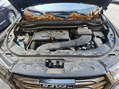 2021 Haval H6 1.5GDIT AT Ultra Luxury, чёрный — фото 21
