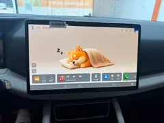 2025 BYD Yuan UP Smart Driving 401km Vitality — фото 14