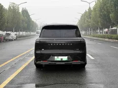 2026 Leapmotor D19 EREV 500 Premium 6-seat, чёрный — фото 10