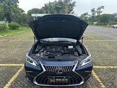 2022 Lexus ES 300h Excellence, синий — фото 21