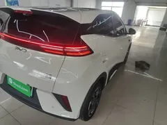 2025 BYD Seagull Smart Driving 305km Freedom, белый — фото 8