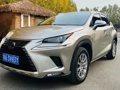 2020 Lexus NX 200 4WD Fashion China VI — фото 1