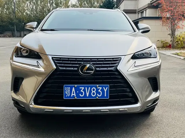 2020 Lexus NX 200 4WD Fashion China VI