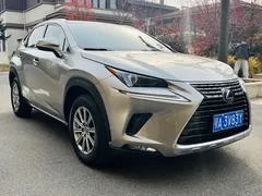 2020 Lexus NX 200 4WD Fashion China VI — фото 3