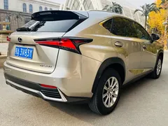 2020 Lexus NX 200 4WD Fashion China VI — фото 4