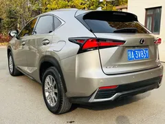 2020 Lexus NX 200 4WD Fashion China VI — фото 5