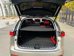 2020 Lexus NX 200 4WD Fashion China VI — фото 16
